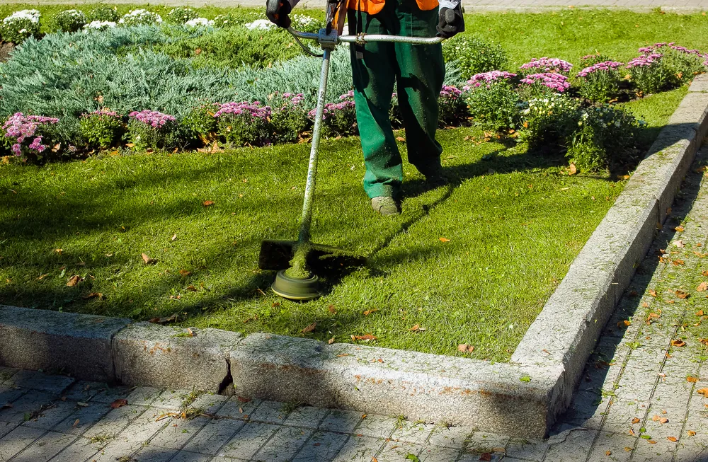 Edged front paths at Linden Court