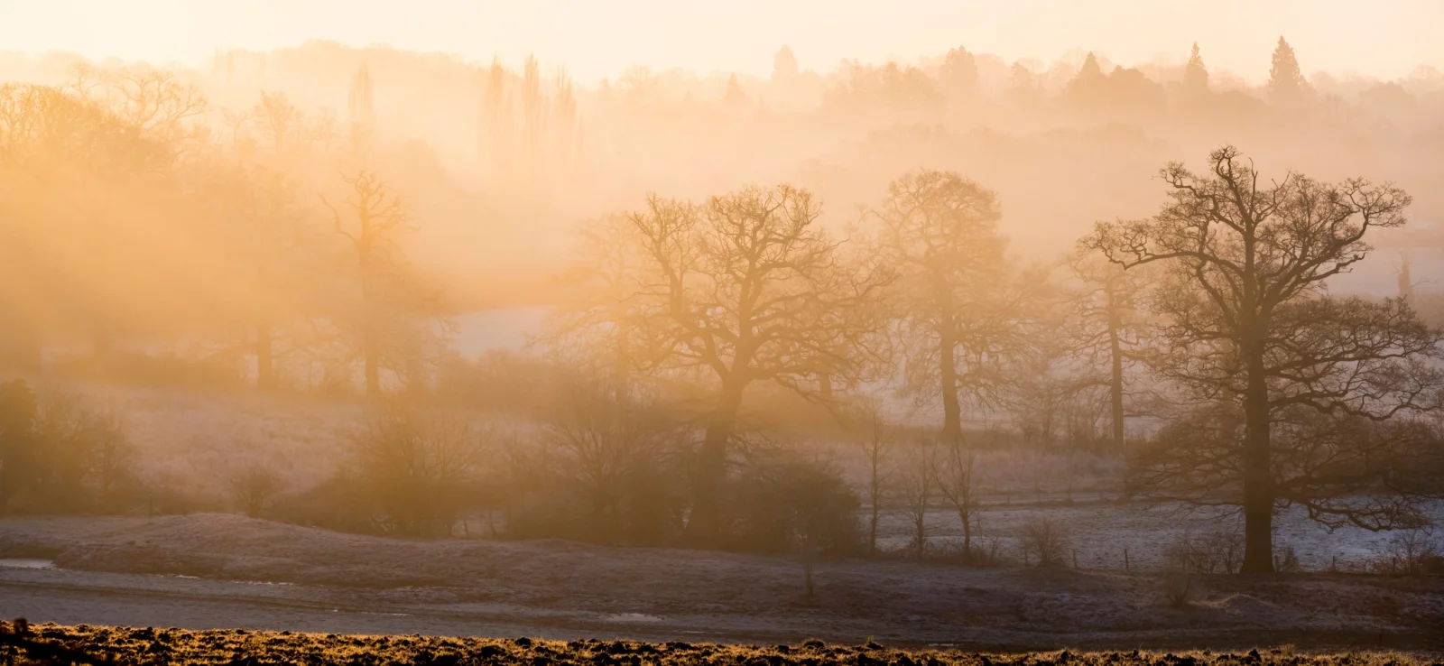 5th mildest winter since records began but the message is not to be complacent.
